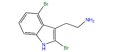 Terminoflustrindole B